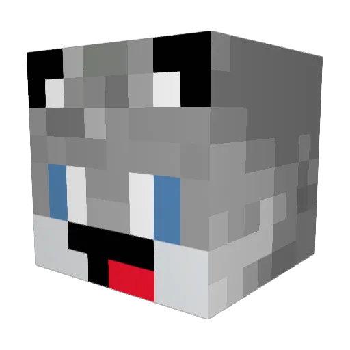Puppy445 Minecraft avatar head, 3D render