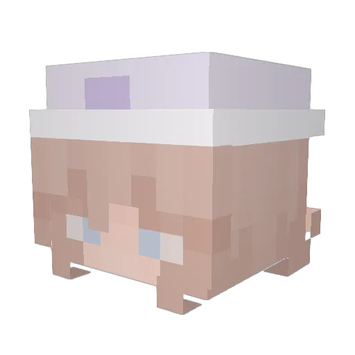 Puppy55cute Minecraft avatar head, 3D render