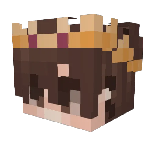 PuppyBoy7 Minecraft avatar head, 3D render