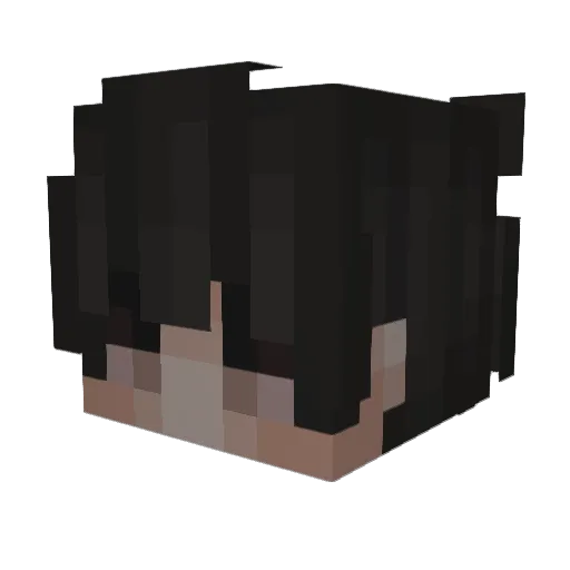 PuppyBoyTsunami Minecraft avatar head, 3D render
