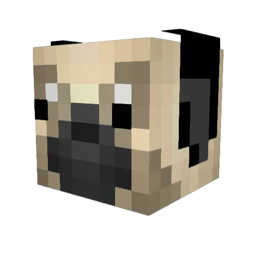 PuppyCraft_ Minecraft avatar head, 3D render