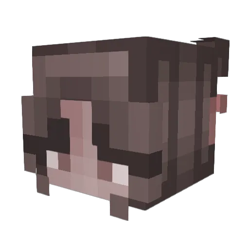 PuppyGirl096 Minecraft avatar head, 3D render