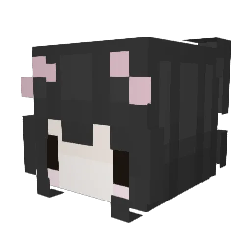 PuppyKibbi Minecraft avatar head, 3D render