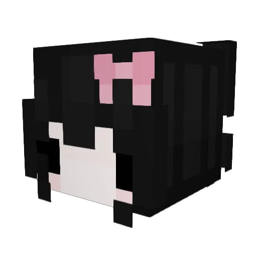 PuppyKibbi Minecraft avatar head, 3D render
