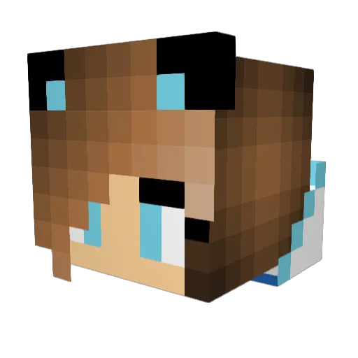 PuppyLena Minecraft avatar head, 3D render
