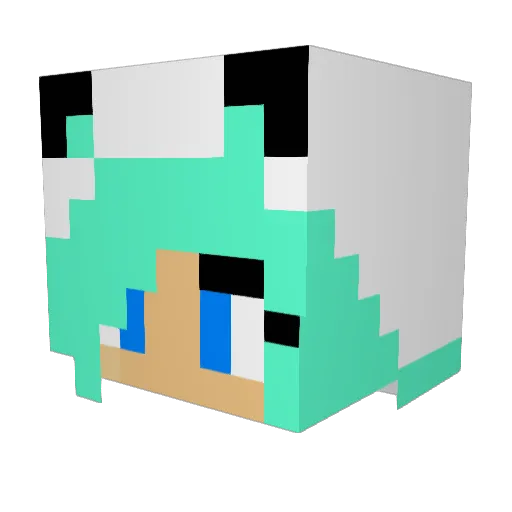 PuppyLover0 Minecraft avatar head, 3D render