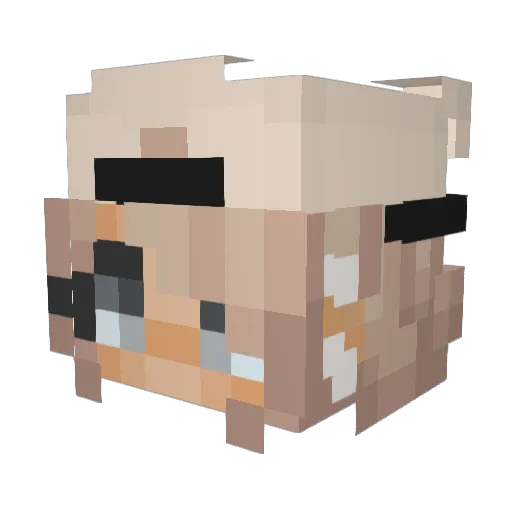 PuppyLover766 Minecraft avatar head, 3D render