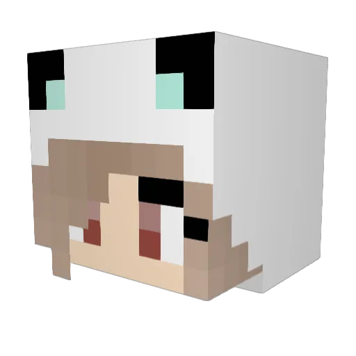 PuppyLover7756 Minecraft avatar head, 3D render