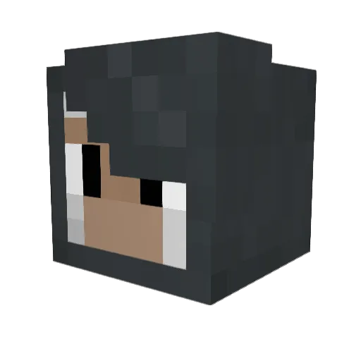 PuppyLover_ Minecraft avatar head, 3D render