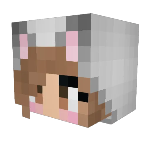 PuppyPerson123 Minecraft avatar head, 3D render