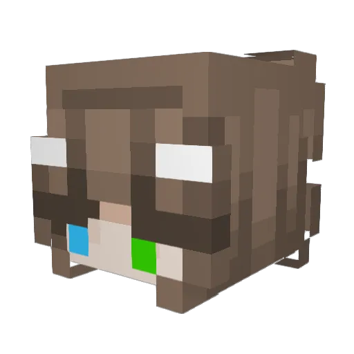 Puppy_Girl311 Minecraft avatar head, 3D render