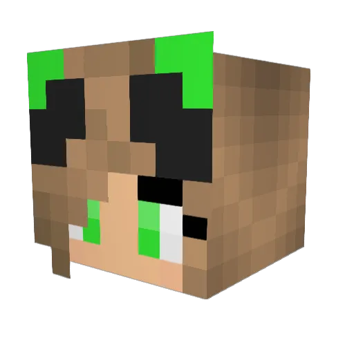 Puppydragon1 Minecraft avatar head, 3D render