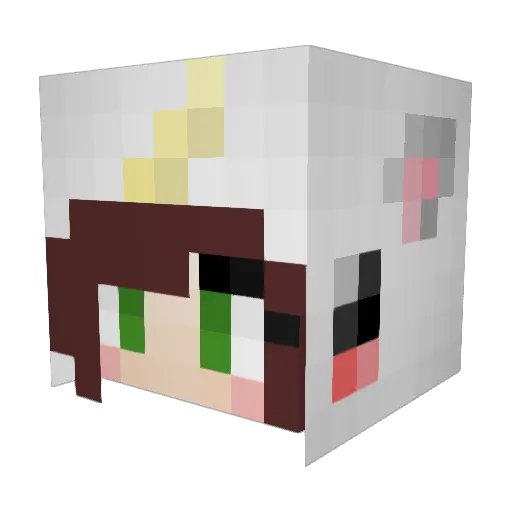 Puppyface100 Minecraft avatar head, 3D render