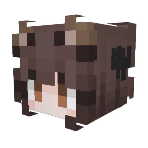 PuppygirlSophie Minecraft avatar head, 3D render