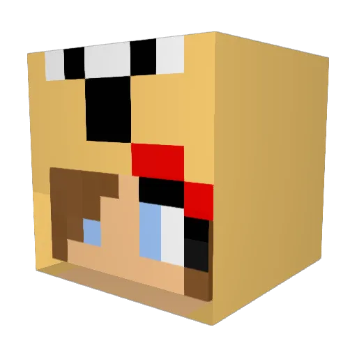 Puppylvr99 Minecraft avatar head, 3D render