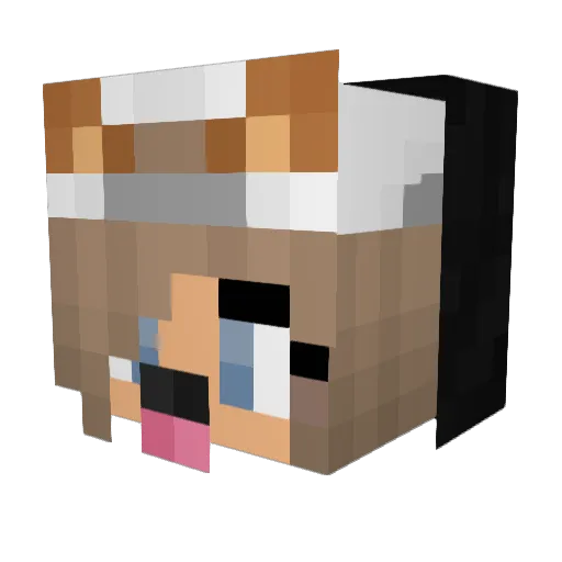 Puppypill Minecraft avatar head, 3D render