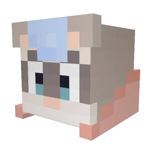 Puppyworm Minecraft avatar head, 3D render