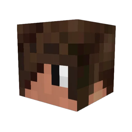 Pupsi_22 Minecraft avatar head, 3D render