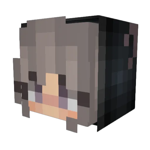 Pupsik007 Minecraft avatar head, 3D render