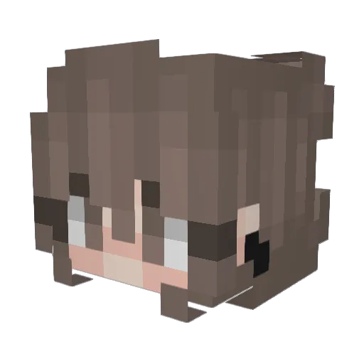 Pupspritz Minecraft avatar head, 3D render