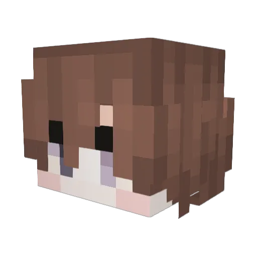 Pure557 Minecraft avatar head, 3D render
