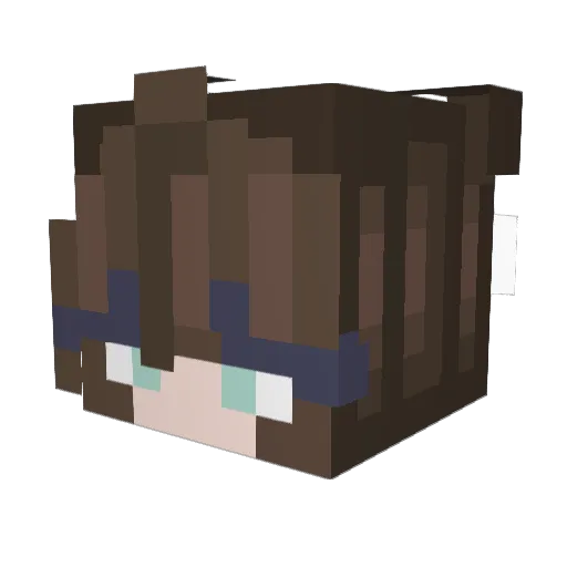 PureMurican Minecraft avatar head, 3D render