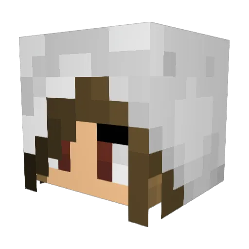 PurePinto Minecraft avatar head, 3D render