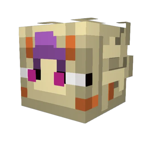 PureSaltine3 Minecraft avatar head, 3D render