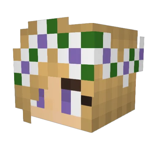 PurebredGenius Minecraft avatar head, 3D render