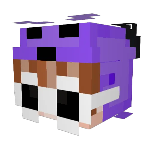 Purpl3P8ndA Minecraft avatar head, 3D render