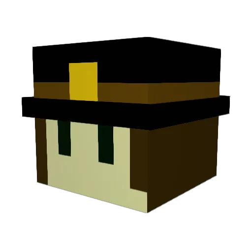 Purple264 Minecraft avatar head, 3D render