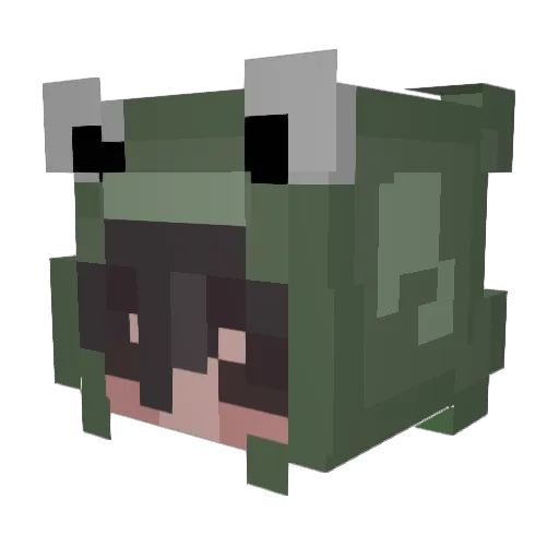 PurpleBee3 Minecraft avatar head, 3D render
