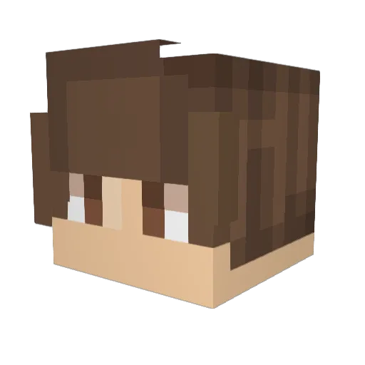 PurpleBoyGamez Minecraft avatar head, 3D render