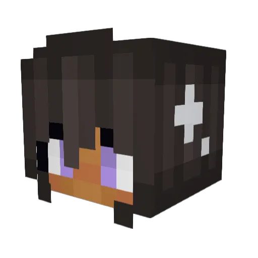 PurpleDragon318 Minecraft avatar head, 3D render