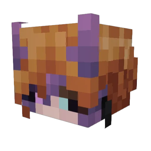 PurpleFairyFire Minecraft avatar head, 3D render