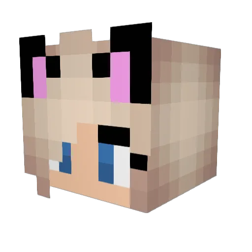 PurpleFlamingos8 Minecraft avatar head, 3D render