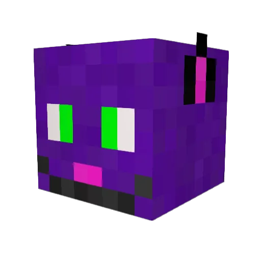 PurpleFluffKitty Minecraft avatar head, 3D render