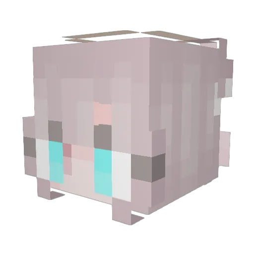 PurpleGalaxy1 Minecraft avatar head, 3D render