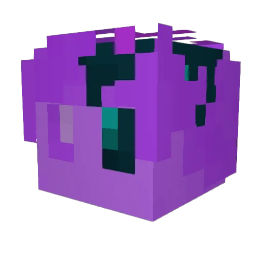 PurpleKiwiFr Minecraft avatar head, 3D render