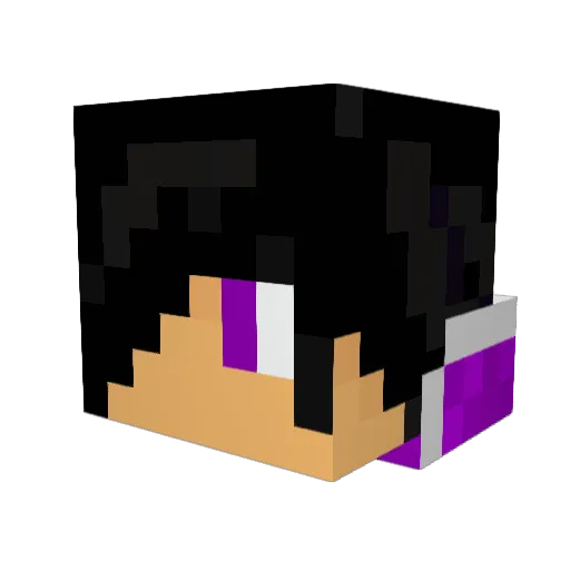 PurpleMiner12345 Minecraft avatar head, 3D render