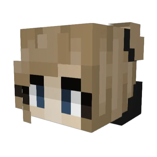 PurpleMomaPig Minecraft avatar head, 3D render