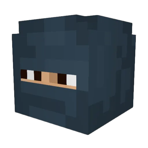 PurplePaladinZ Minecraft avatar head, 3D render