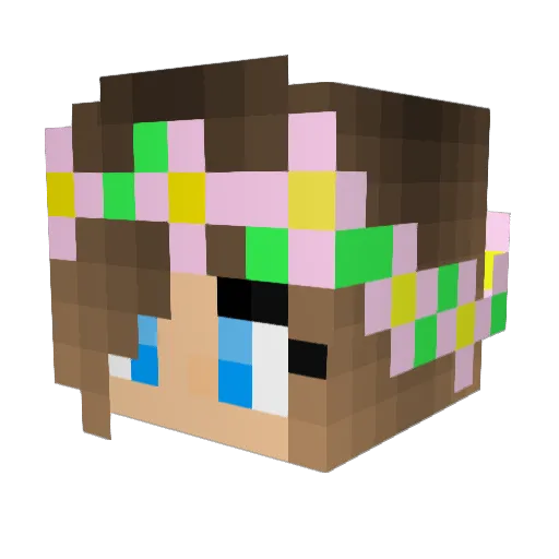 PurplePanda2015 Minecraft avatar head, 3D render