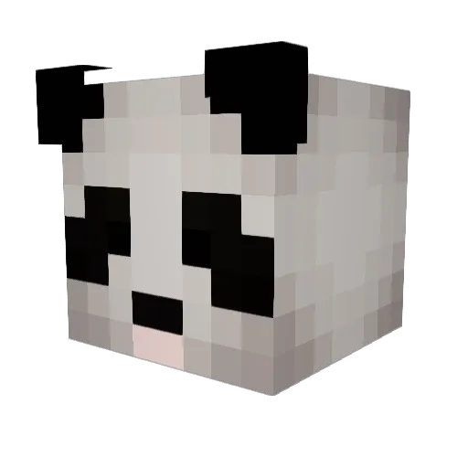 PurplePanda678 Minecraft avatar head, 3D render