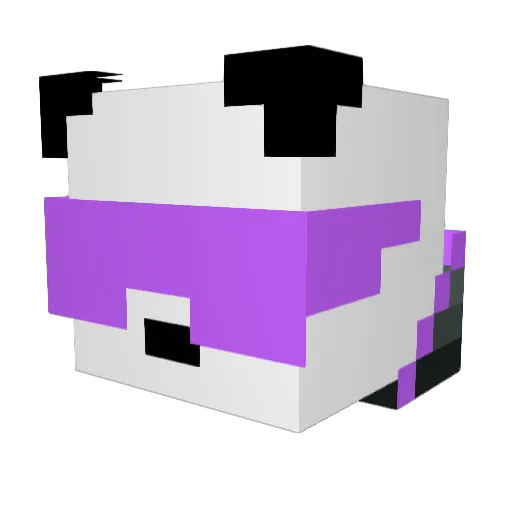 PurplePanda978 Minecraft avatar head, 3D render
