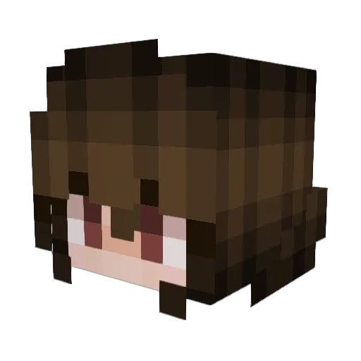 PurplePanda_20 Minecraft avatar head, 3D render