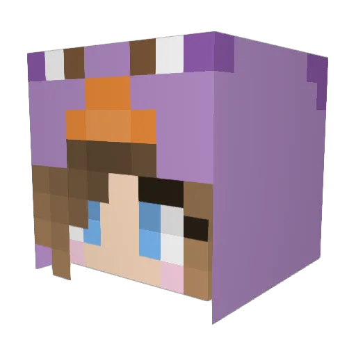 PurplePlatypus13 Minecraft avatar head, 3D render