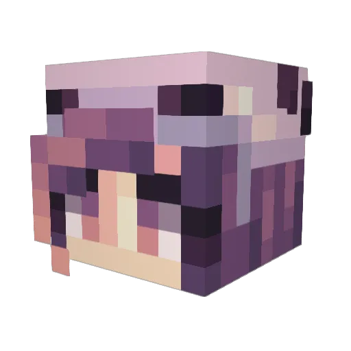 PurplePlayer21 Minecraft avatar head, 3D render
