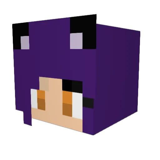 PurpleRoseGalaxy Minecraft avatar head, 3D render