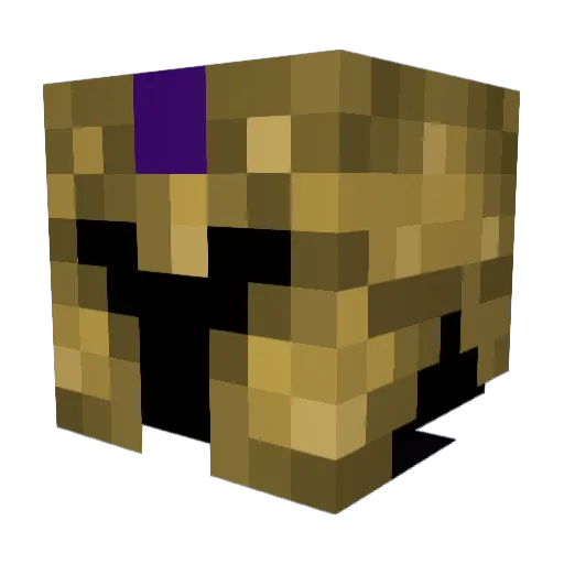 PurpleSpartan219 Minecraft avatar head, 3D render